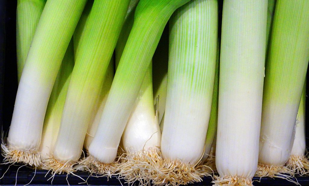 Green onions,