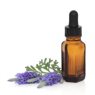 lavender essential oils